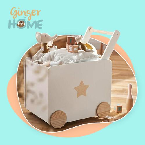 Ginger Home Promo