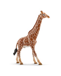 Фигурка Schleich Wild Life Africa - Жираф мрежест, мъжки