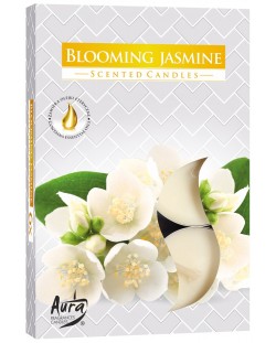 Ароматни чаени свещи Bispol Aura - Blooming Jasmine, 6 броя
