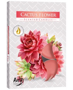 Ароматни чаени свещи Bispol Aura - Cactus flower, 6 броя