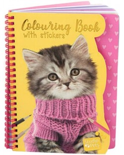 Книжка за оцветяване със стикери Paso Studio Pets - A5, коте