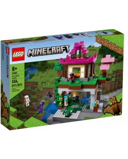 Конструктор Lego Minecraft - The Training Grounds (21183)