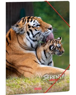 Папка с ластик Ars Una Serenity - А4, тигри