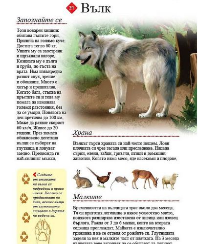 100+ животни от България - 4