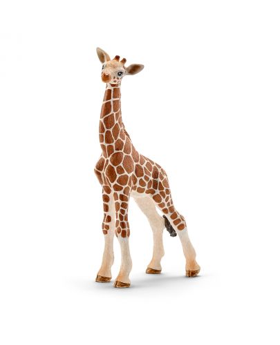 Фигурка Schleich Wild Life Africa - Жираф мрежест, бебе - 1