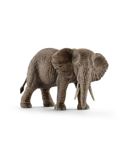 Фигурка Schleich Wild Life Africa - Африкански слон - женски ходещ - 1