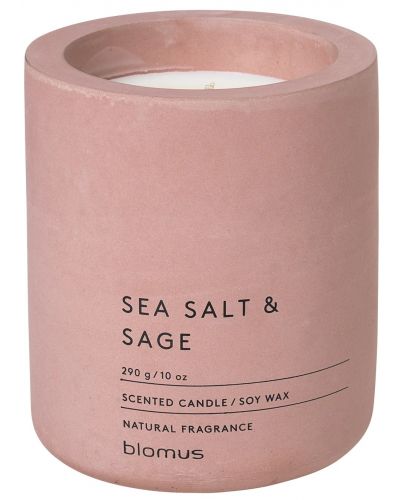 Ароматна свещ Blomus Fraga - L, Sea Salt & Sage, Withered Rose - 1