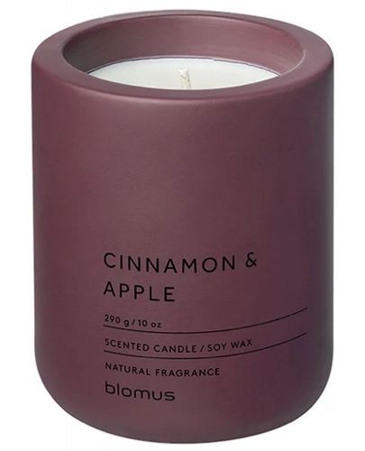 Ароматна свещ Blomus Fraga - L, Cinnamon & Apple, Port - 1