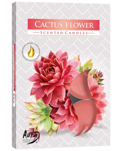 Ароматни чаени свещи Bispol Aura - Cactus flower, 6 броя - 1