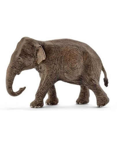 Фигурка Schleich Wild Life Asia and Australia - Индийски слон, женски - 1