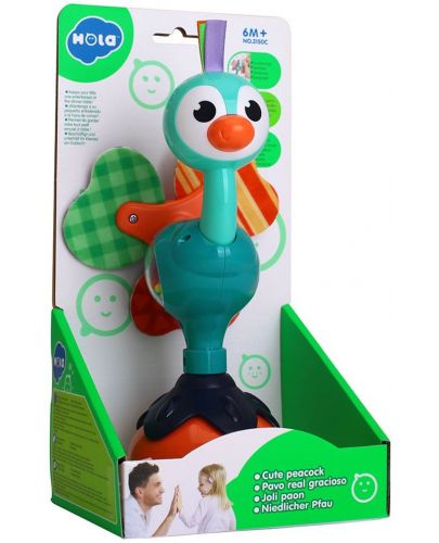Бебешка играчка с вакуум Hola toys - Петле - 2
