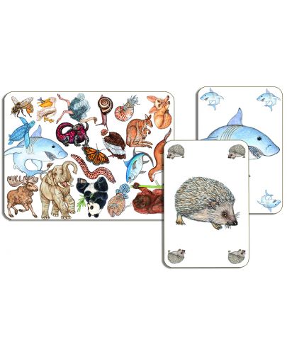 Детска игра с карти Djeco - Zanimatch - 2