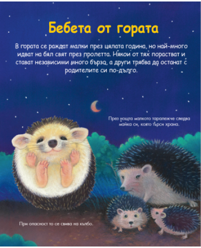 Енциклопедия за най-малките: Бебетата на животните - 2