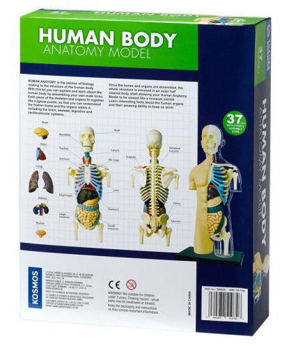 Детски комплект Kosmos - Анатомия на човешкото тяло - 6