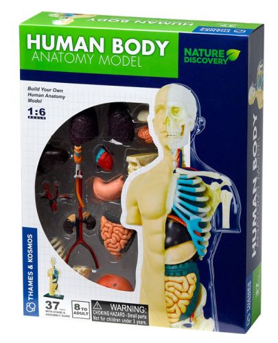 Детски комплект Kosmos - Анатомия на човешкото тяло - 1