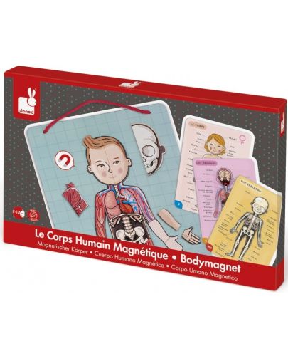 Детска магнитна игра Janod - Анатомия на човешкото тяло - 1