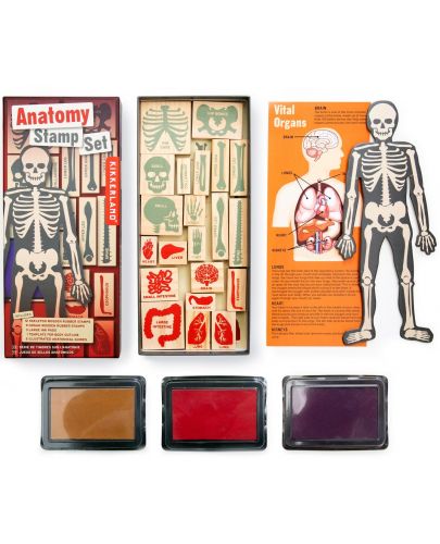 Комплект печати Kikkerland - Анатомия на човешкото тяло - 2