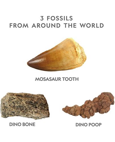 Комплект National Geographic Dig Science - Фосил от динозавър - 4