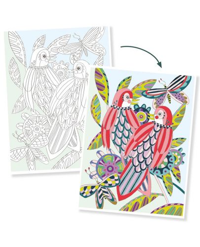 Комплект картини за оцветяване Djeco - Птици - 4