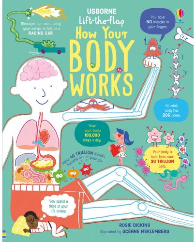 Lift-the-Flap: How Your Body Works - 1