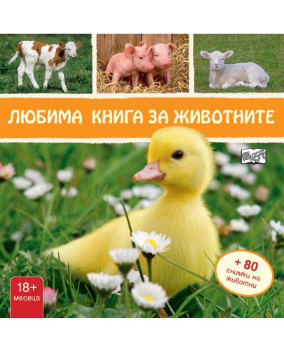 Любима книга за животните: Пате (твърди корици) - 1