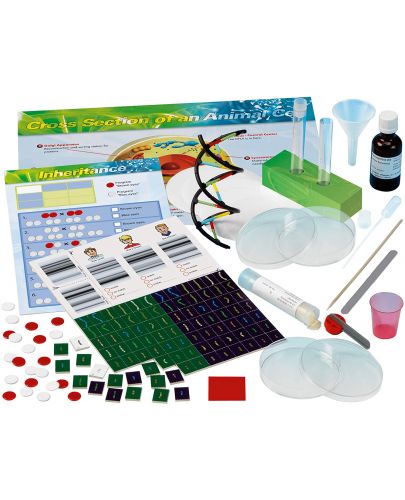 Научен комплект Thames & Kosmos - Детска лаборатория, Генетика и ДНК - 2