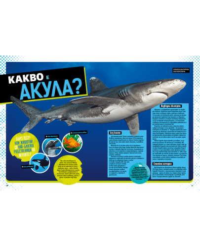 National Geographic Kids: Невероятна книга за акулите - 3