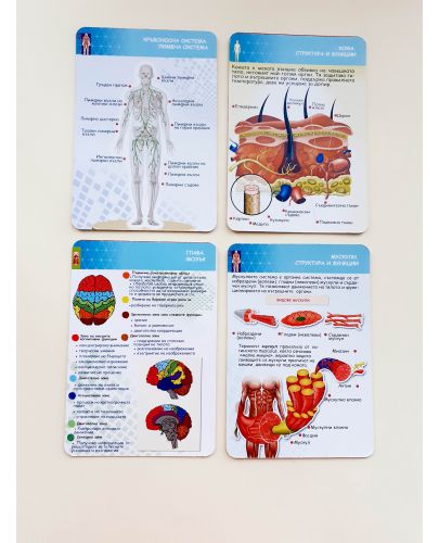 Образователни карти с добавена реалност: Човешкото тяло - 2