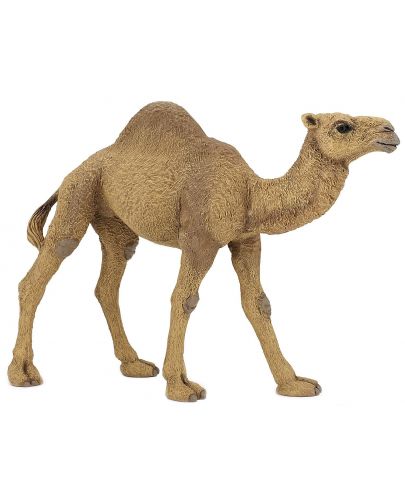 Фигурка Papo Wild Animal Kingdom – Едногърба камила - 1