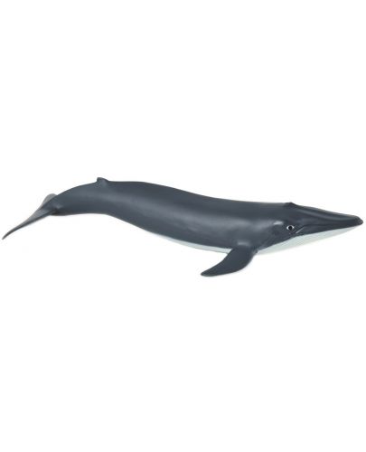 Фигурка Papo Marine Life – Малък син кит - 1