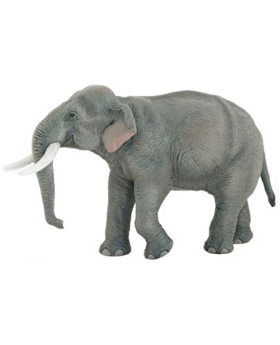 Фигурка Papo Wild Animal Kingdom – Азиатски слон - 1