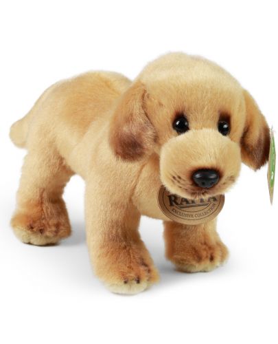 Плюшена играчка Rappa Еко приятели - Куче Лабрадор, 20 cm - 3