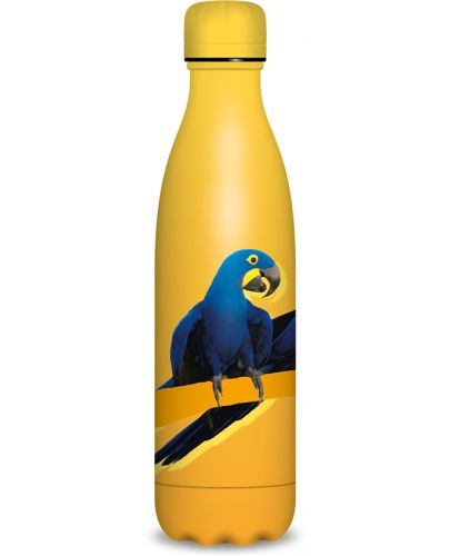 Термо бутилка Ars Una - Parrot, 500 ml - 1