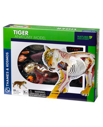 Детски комплект Kosmos -  Анатомия на тигър - 1