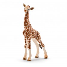 Фигурка Schleich Wild Life Africa - Жираф мрежест, бебе -1