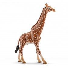 Фигурка Schleich Wild Life Africa - Жираф мрежест, мъжки -1