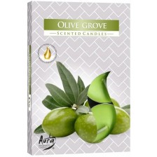 Ароматни чаени свещи Bispol Aura - Olive Grove, 6 броя -1