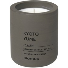 Ароматна свещ Blomus Fraga - S, Kyoto Yume, Tarmac -1