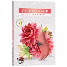 Ароматни чаени свещи Bispol Aura - Cactus Flower, 6 броя -1