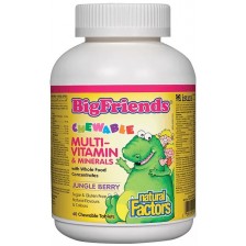 BigFriends Multi-Vitamin & Minerals, 60 дъвчащи таблетки, Natural Factors -1