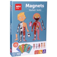 Детска магнитна игра Apli - Човешкото тяло