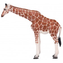 Фигурка Mojo Wildlife - Жираф, женски