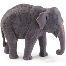 Фигурка Mojo Wildlife - Азиатски слон -1