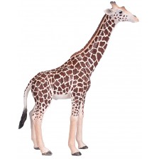 Фигурка Mojo Wildlife - Мъжки жираф -1