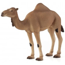 Фигурка Mojo Wildlife - Едногърба камила