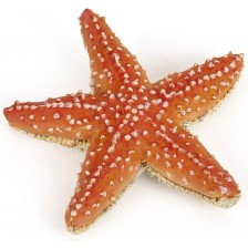 Papo Фигурка Starfish -1