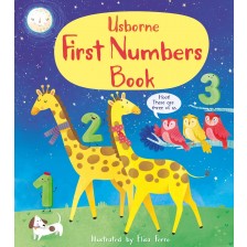 First Numbers Book -1