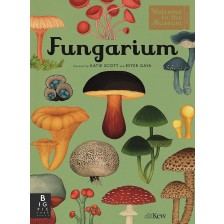 Fungarium -1