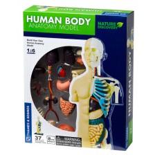 Детски комплект Kosmos - Анатомия на човешкото тяло