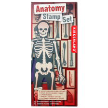 Комплект печати Kikkerland - Анатомия на човешкото тяло -1